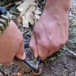 Incontro Nazionale CR a Soriano 21-22/09/2019