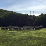 Incontro Nazionale CR a Soriano 21-22/09/2019