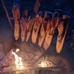 Incontro Nazionale CR a Soriano 21-22/09/2019