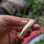 Incontro Nazionale CR a Soriano 21-22/09/2019